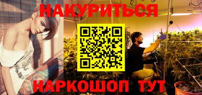 Альфа ПВП Будённовск