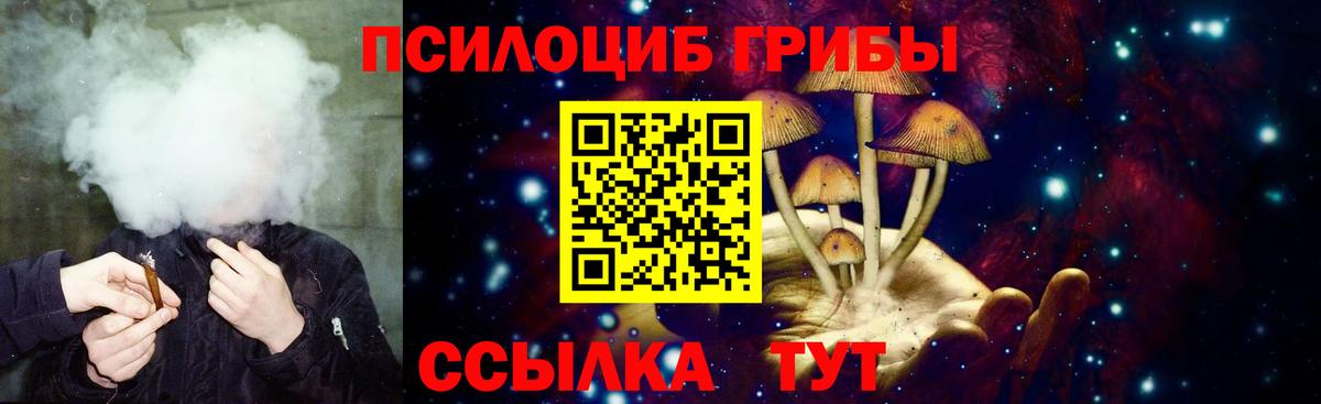 Сальск  Галлюциногенные грибы Psilocybine cubensis  Вход с VPN 